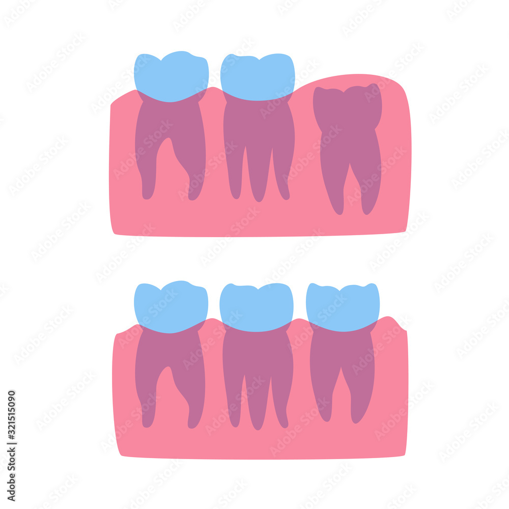 Vector isolated illustration of tooth Vector isolated illustration of tooth