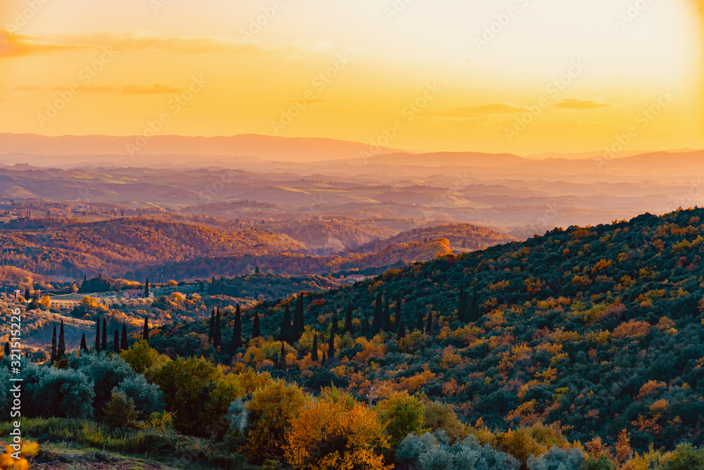 panorama of the autumn woods in Tuscany panorama of the autumn woods in Tuscany