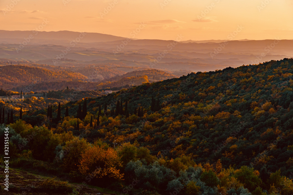 panorama of the autumn woods in Tuscany panorama of the autumn woods in Tuscany
