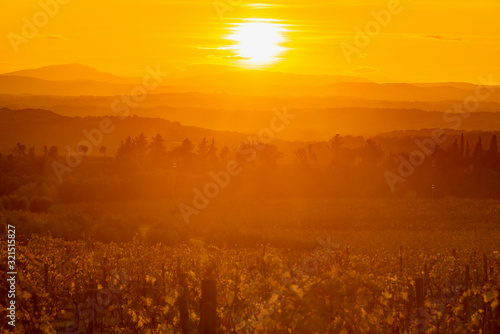 Chianti vineyards in Siena at sunset in autumn