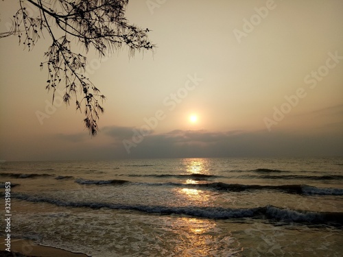 Sunrise over the sea in summer, silhouette shot image of leaves, wave, sky background
