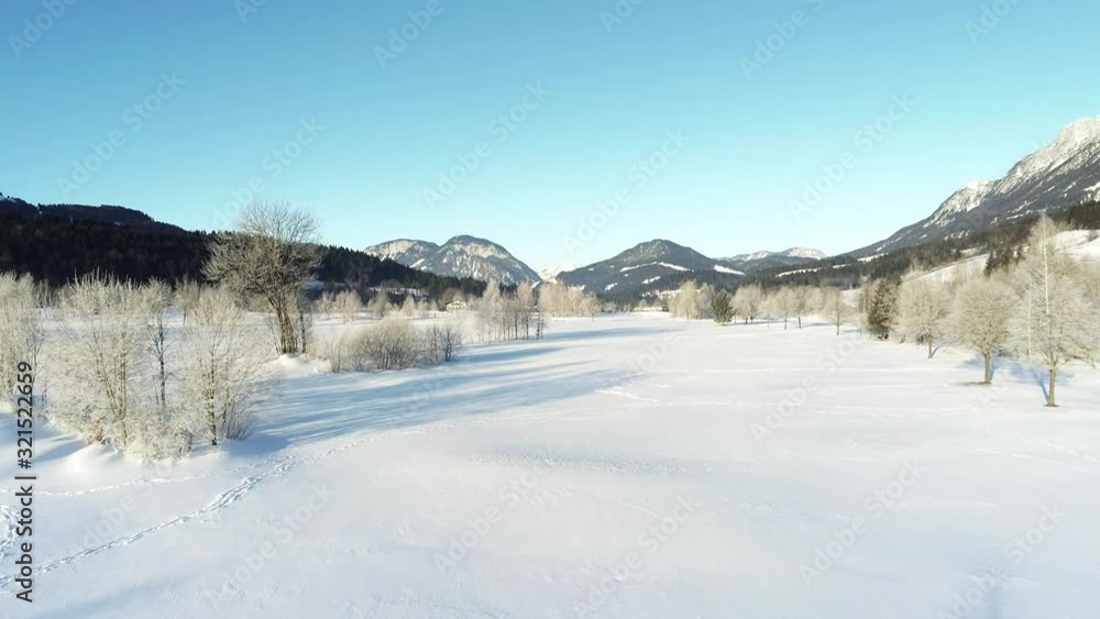 Winter morning with snow and frost Winter morning with snow and frost