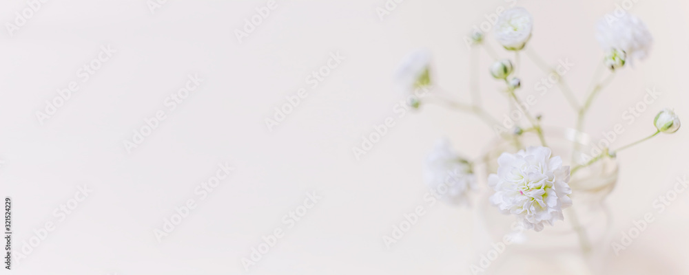 Flower banner. Small lush elegant white flower gypsophila on a pastel background. The concept of spring, summer, women's day, Valentine's day, wedding, holiday, birthday. Flower banner. Small lush elegant white flower gypsophila on a pastel background. The concept of spring, summer, women's day, Valentine's day, wedding, holiday, birthday.