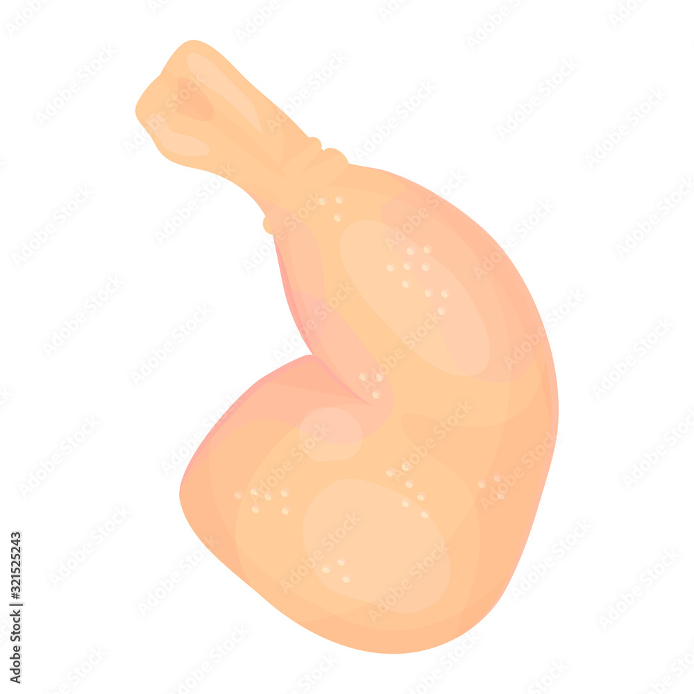 Fototapeta premium Raw chicken leg isolated of white background
