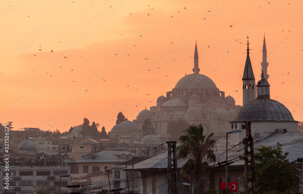 Fototapeta premium Cityscape of Istabul with silhoettes of ancient mosques and minarets. Panoramic view of the old city and flying seagulls on sunset background.