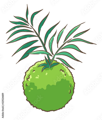 苔玉＿テーブルヤシ