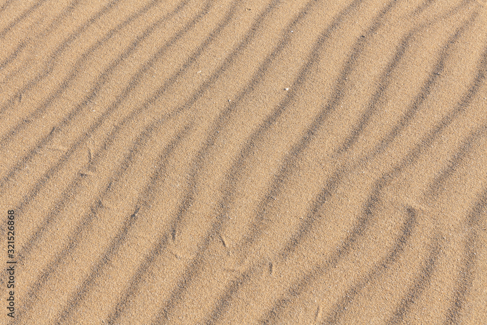 Traces of animals in the sand. Sand Texture. Background from brown sand. selective focus Traces of animals in the sand. Sand Texture. Background from brown sand. selective focus