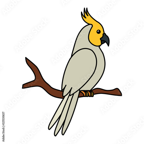 parrot bird in tree branch isolated icon vector illustration design