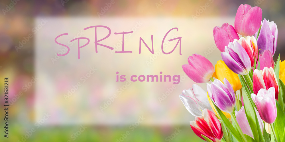 Naklejka premium Flower spring postcard witn flowers