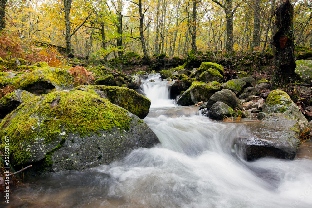 river with silk water in a spanish forest in autumn