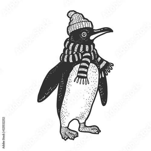 Penguin bird neck is wrapped in scarf and winter hat sketch engraving vector illustration. T-shirt apparel print design. Scratch board imitation. Black and white hand drawn image.