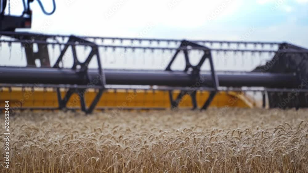 Combine Harvester Cutting Wheat. Harvester machine harvest wheat during work in field Combine Harvester Cutting Wheat. Harvester machine harvest wheat during work in field