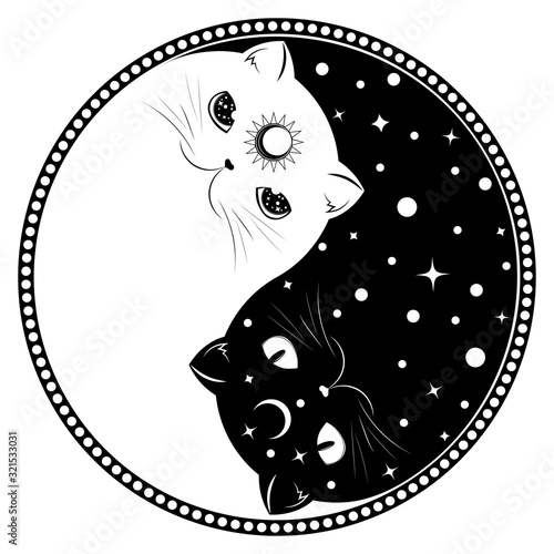 Yin Yang cats