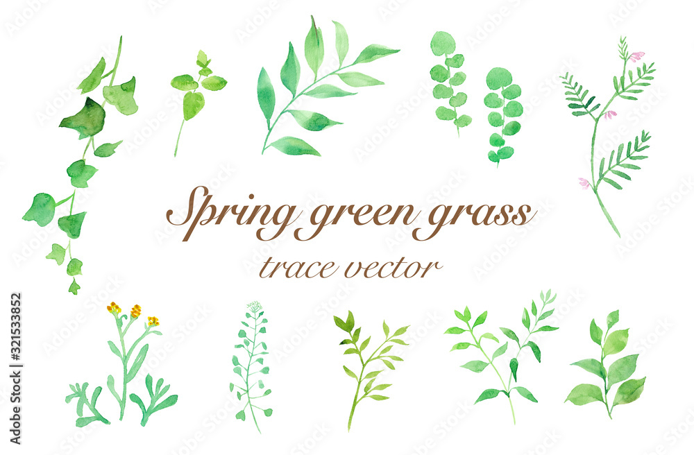 色々な春の野草、グリーンリーフ、水彩イラストのトレースベクター