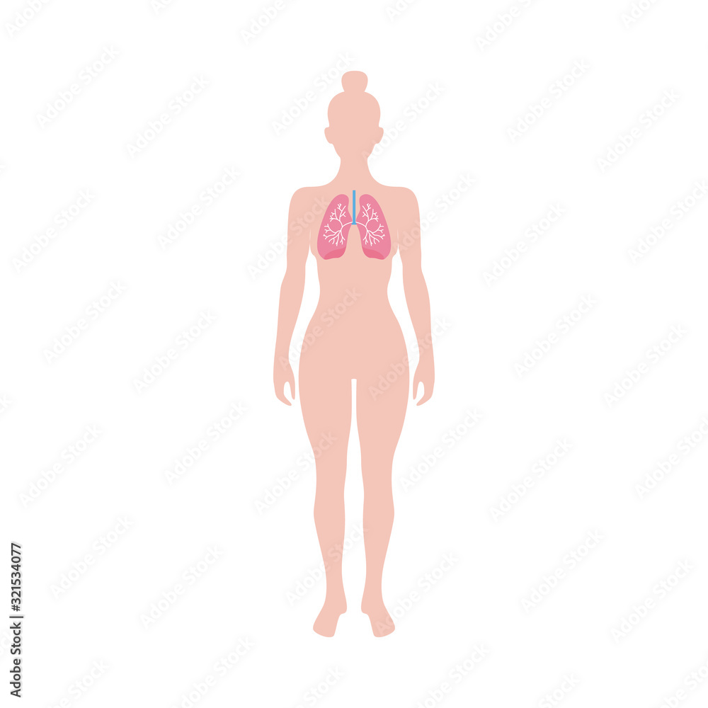 Fototapeta premium Human lungs sign or symbol on female figure shape, vector illustration isolated.