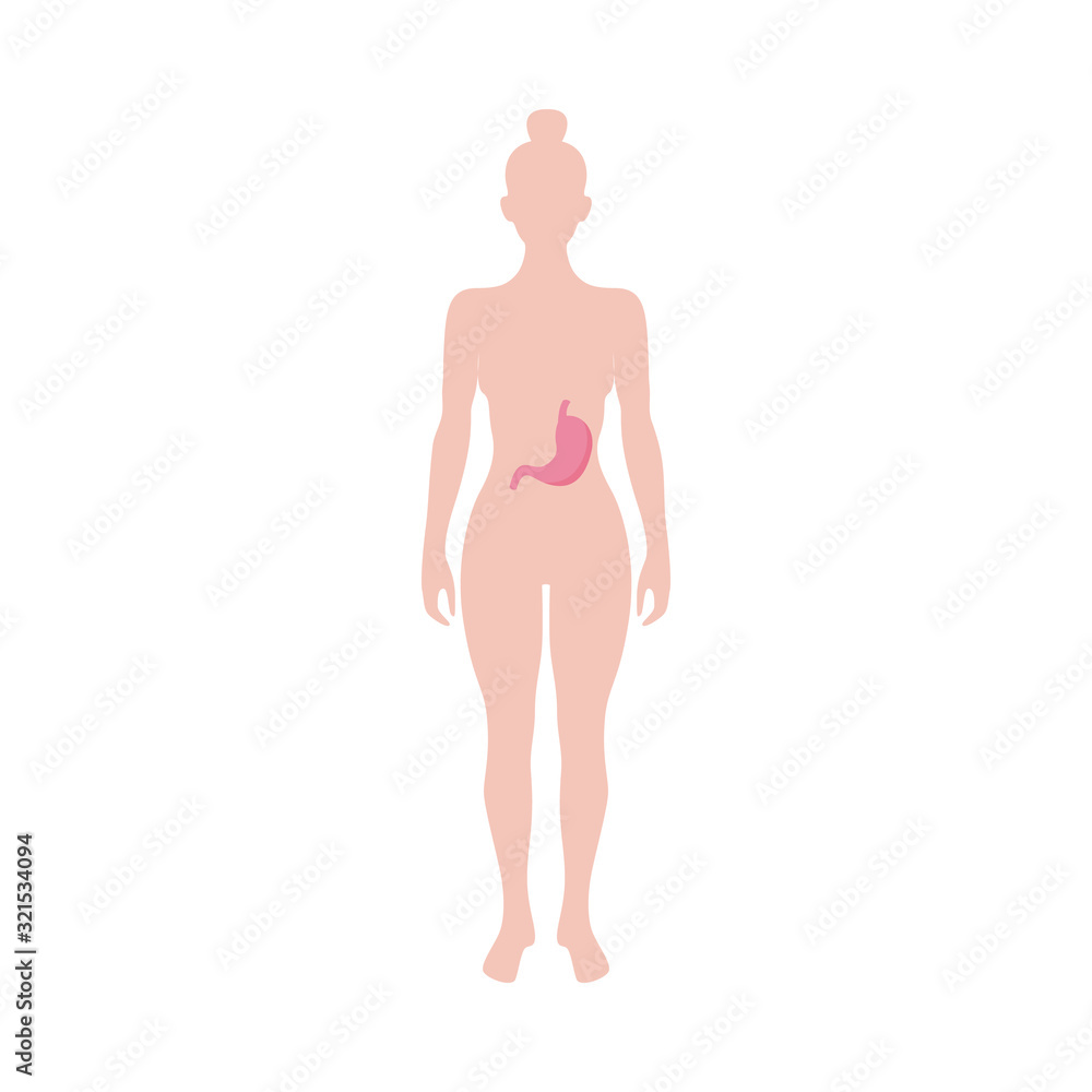 Female figure shape with stomach icon, flat vector illustration isolated. Female figure shape with stomach icon, flat vector illustration isolated.