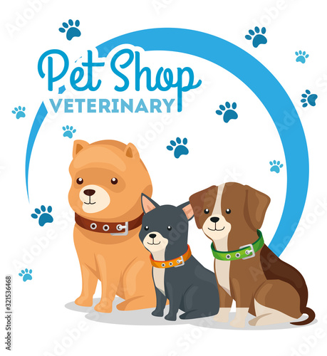 pet shop veterinary with little dogs vector illustration design