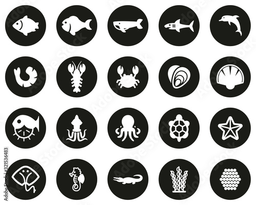 Sea Life & Seafood Icons White On Black Flat Design Circle Set Big