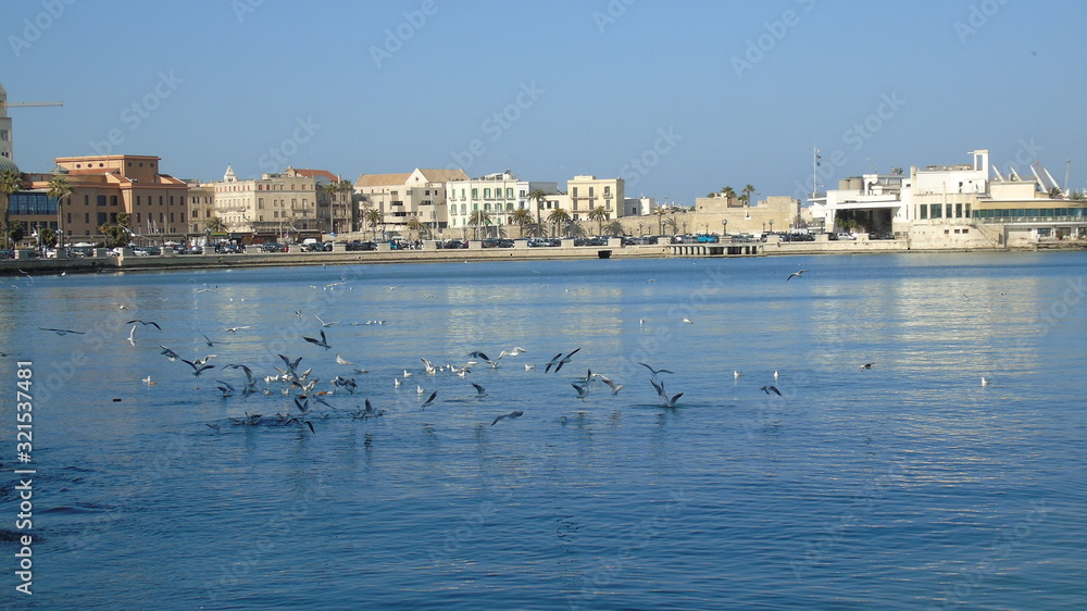 Gabbiani in mare sul lungomare di Bari città, sud Europa