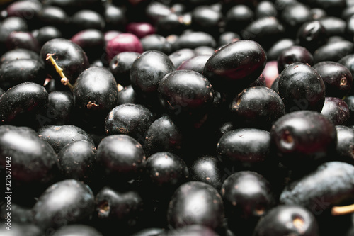 very close shot of Italian black olives freshly harvested from the field