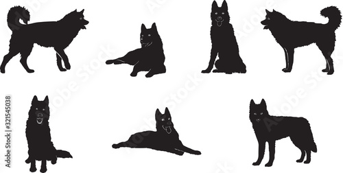 husky, dog, husky figure,  various poses, illustration, vector, different positions, illustration, black and white