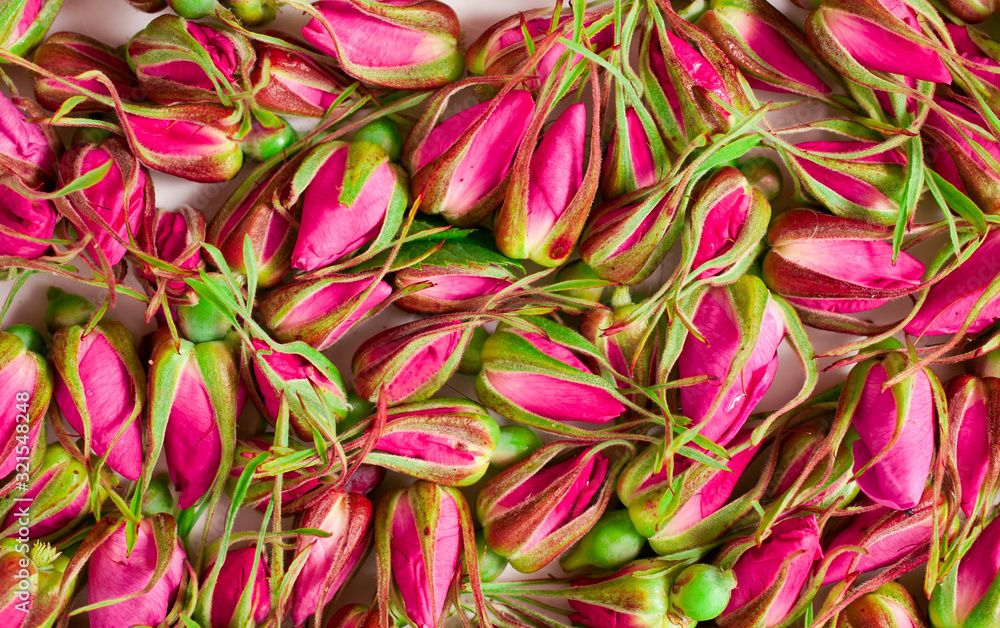 Background of rose buds.