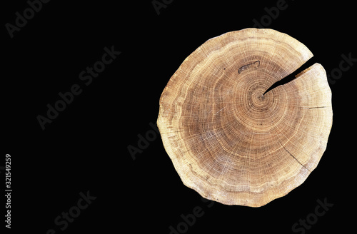 Round cut of a tree with growth rings on a black background. Cross section of a tree trunk.