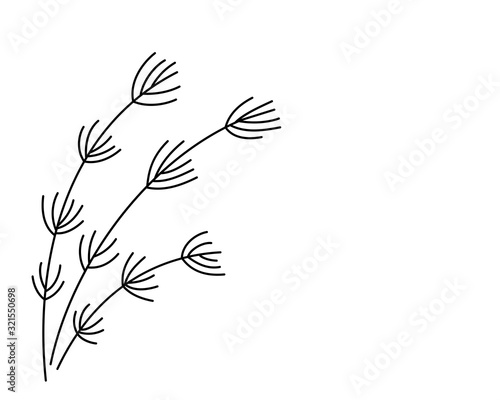 Pond reed doodle, simple black silhouette, vector illustration
