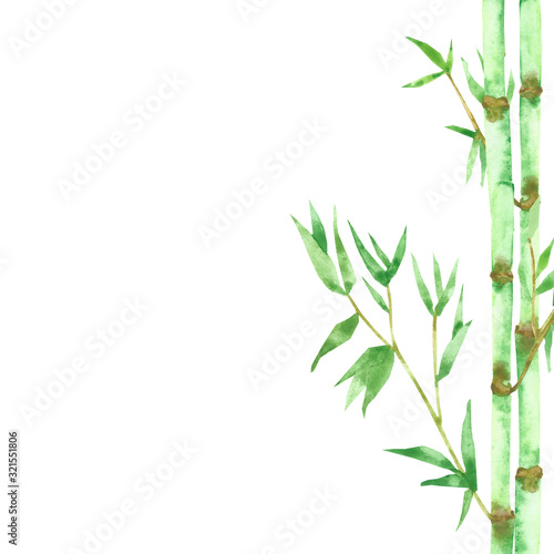 Watercolor hand painted nature tropical frame composition with green jungle bamboo branches and leaves on the white background for invitations and greeting cards with the space for text