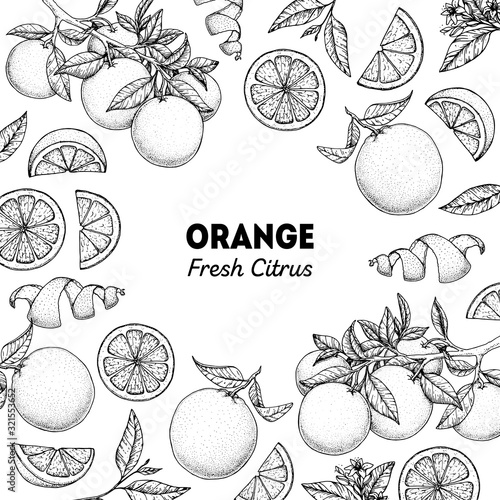 Orange hand drawn package design. Vector illustration. Orange sketch for menu design, brochure illustration. Black and white design. Citrus orange frame illustration. Can used for packaging design.