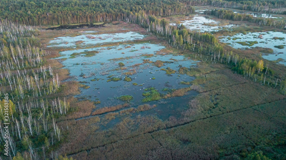 The reclaimed swamp became a swampy meadow surrounded by forest. Nesting place for birds. Ecological concept. Aerial view.