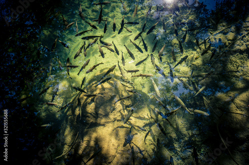 Wallpaper Mural Sibenik, Kroatien Torontodigital.ca