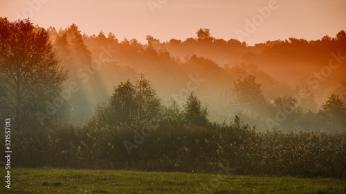 Misty sunny morning on a meadow in a village.