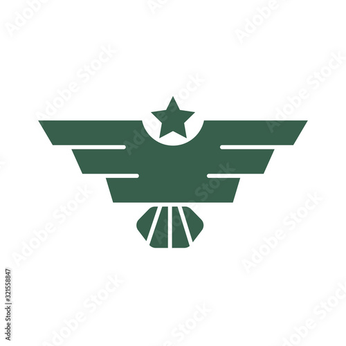 military air force medal with wings