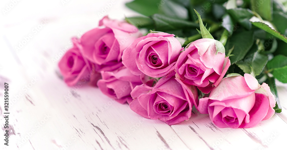 spring banner. Purple pink rose bouquet on the white background. Womans day concept, copyspace