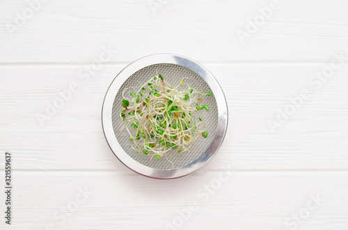 Young microgreen sprouts on a metal cover with a sieve, on a white clean background closeup