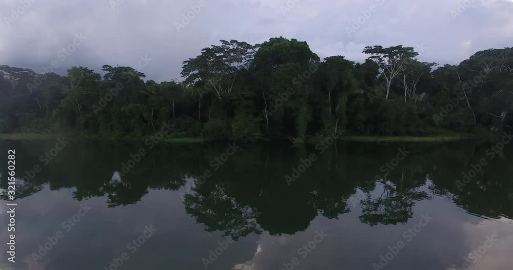 The River Surrounded by Extensive Vegetation in Riberalta, Beni / Bolivia The River Surrounded by Extensive Vegetation in Riberalta, Beni / Bolivia