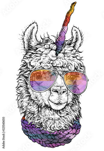 LAMA / llamacorn in eyeglasses, Hipster style drawing, isolated on white. Object for advertisement, web page design, poster, banner, print element. vector illustration.