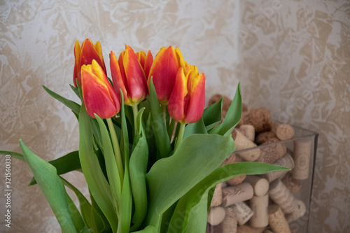 Bouquet of yellow tulips. Closeup of vibrant orange tulips with yellow edges of red petals. Bunch of bud shape flowers on blurry beige background with defocused wine corks. Bouquet of fresh flowers
