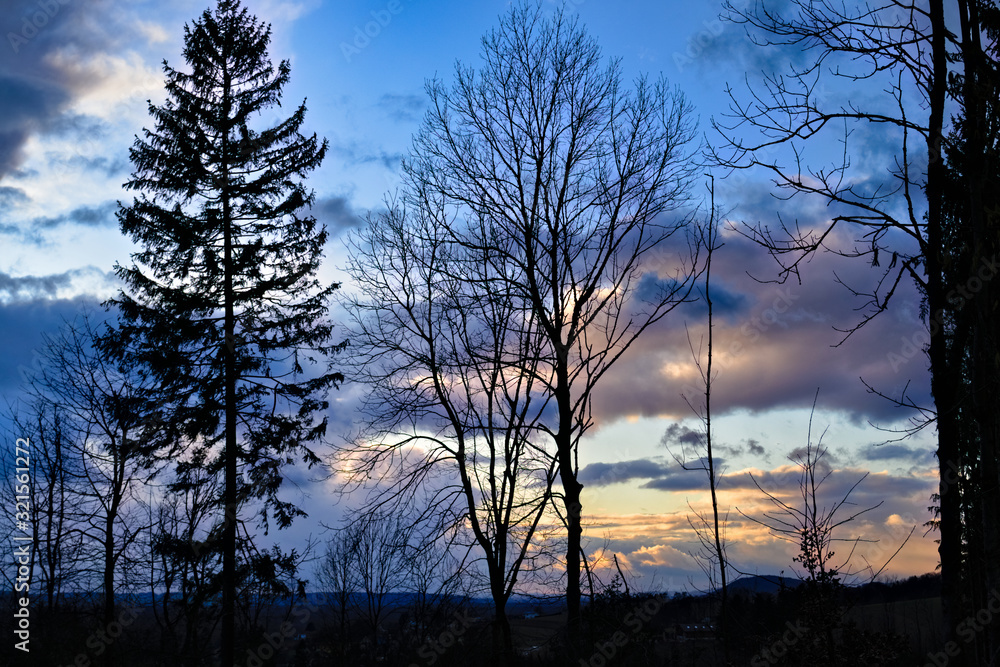 tree at sunset tree at sunset