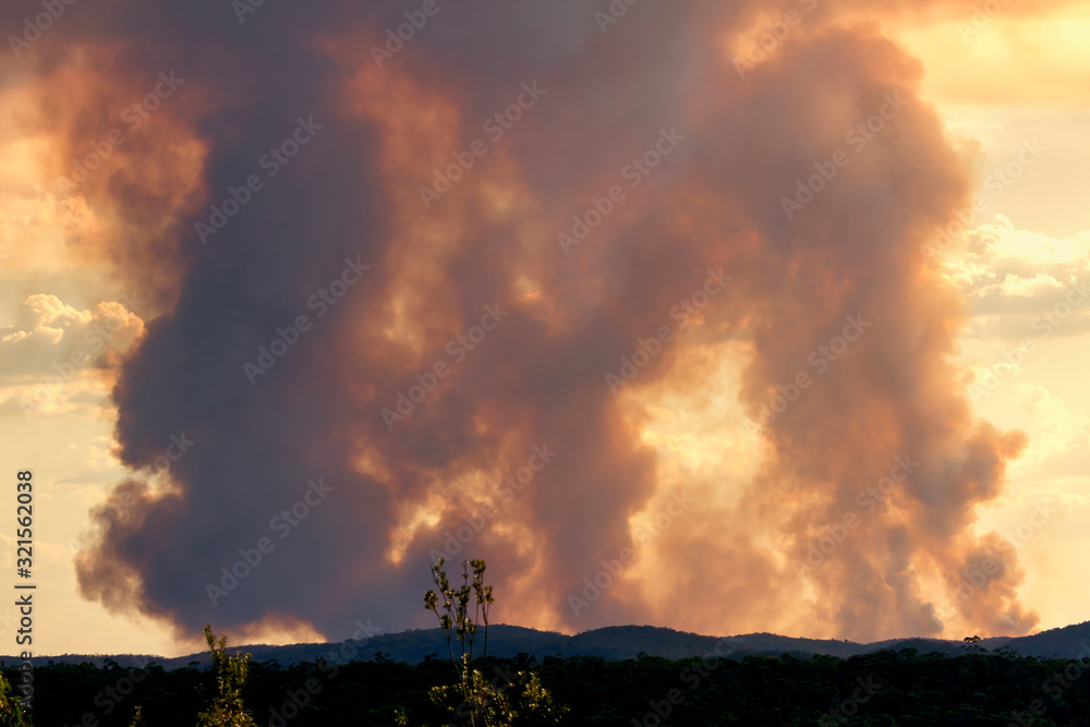 Bush fire smoke in a valley in The Blue Mountains in Australia Bush fire smoke in a valley in The Blue Mountains in Australia