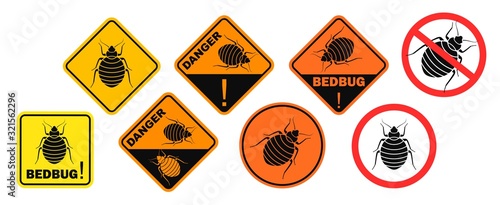 Bedbug danger sign. Isolated bedbug on white background