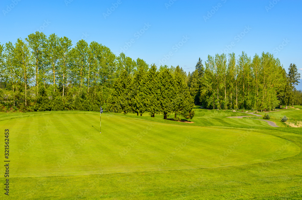 Golf course with gorgeous green and fantastic forest view.