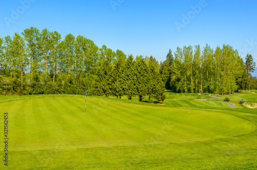Golf course with gorgeous green and fantastic forest view. © karamysh