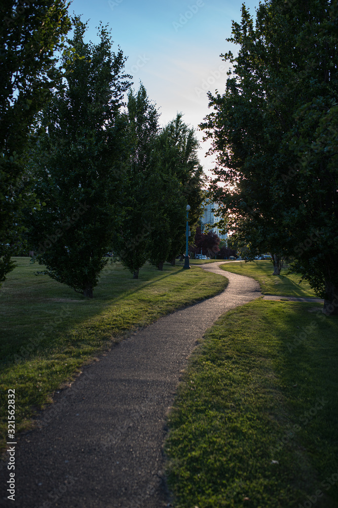 Obraz premium path in the park
