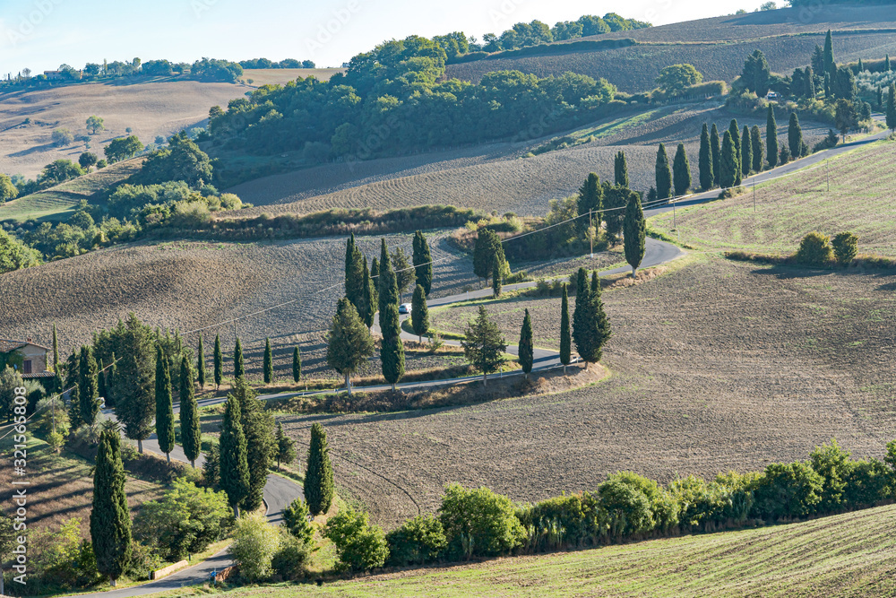 Road with curves and cypresses in Tuscany