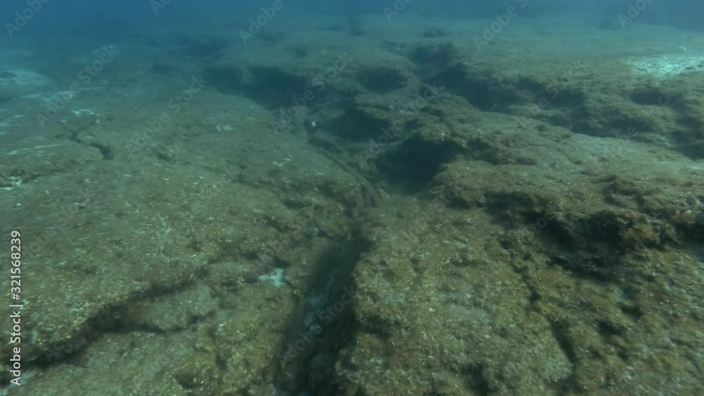 Rocky sea bottom in sun rays. Underwater seascape. Camera moving forwards Rocky sea bottom in sun rays. Underwater seascape. Camera moving forwards
