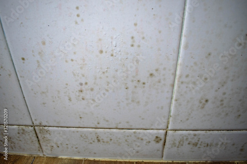 Dirty on wall in the bathroom