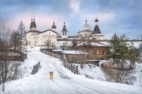 Ферапонтов монастырь и собака View of Ferapontov Belozersky monastery and a dog