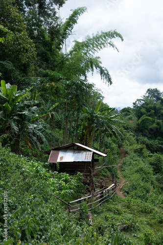 Thailand Village 